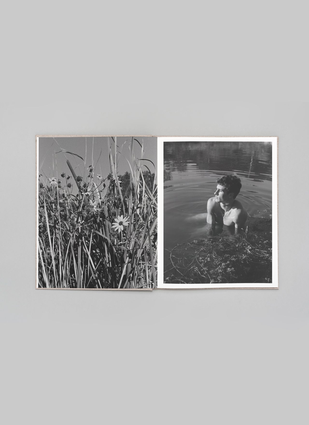 GOLDEN, First Edition – 2025 - Scott West
