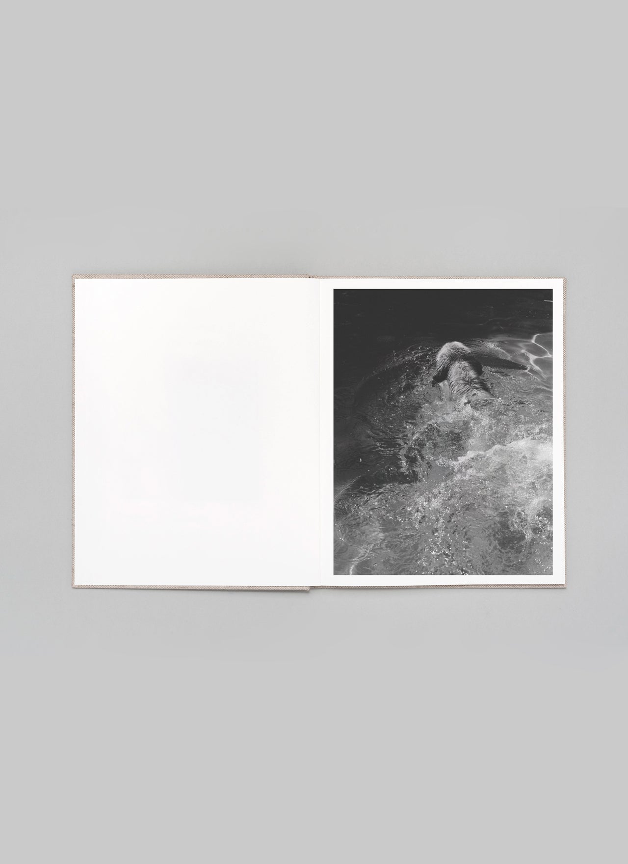 GOLDEN, First Edition – 2025 - Scott West